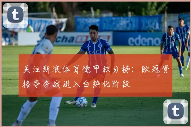 关注新浪体育德甲积分榜：欧冠资格争夺战进入白热化阶段